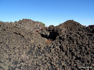 otta Chiovazzi-02-11-2020 12